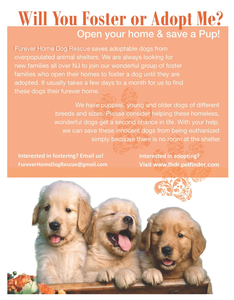 Calling All Dog Lovers!!!! thumbnail 3