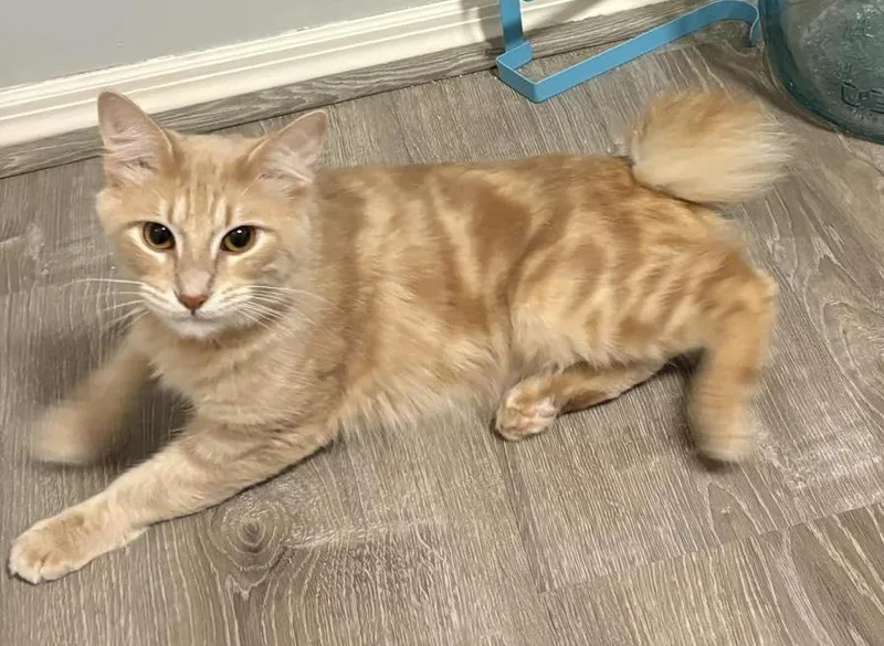 Scooter Is A Sweetie