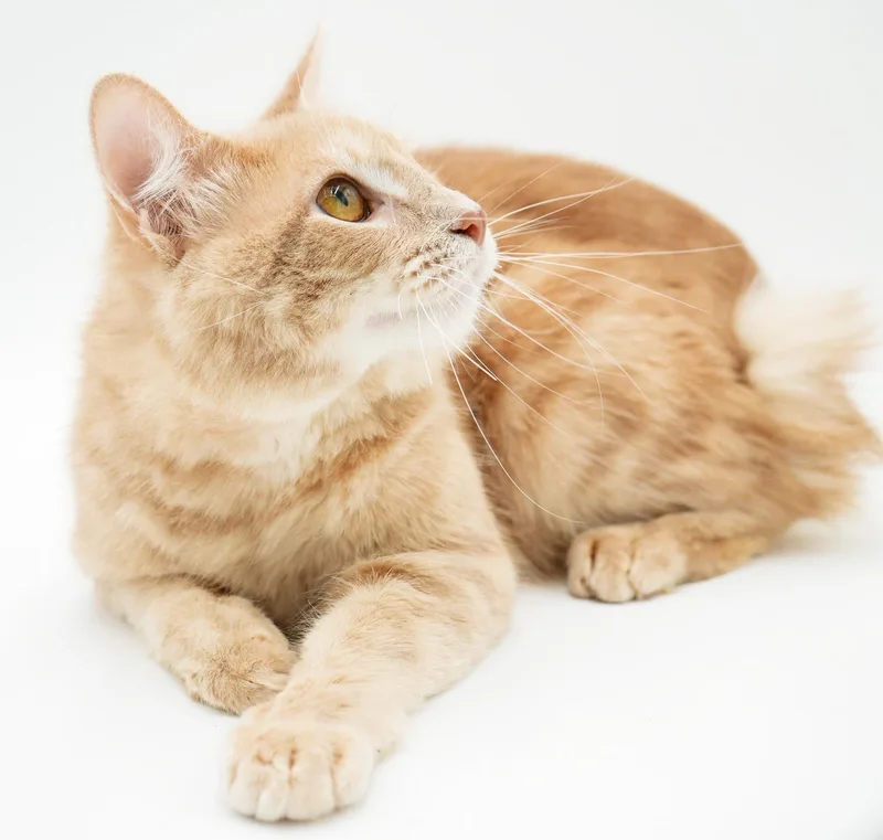 Scooter Is A Sweetie thumbnail 2