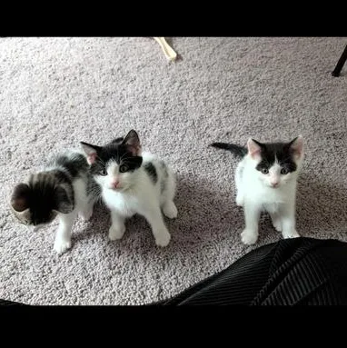 Tucker & Sky thumbnail 6