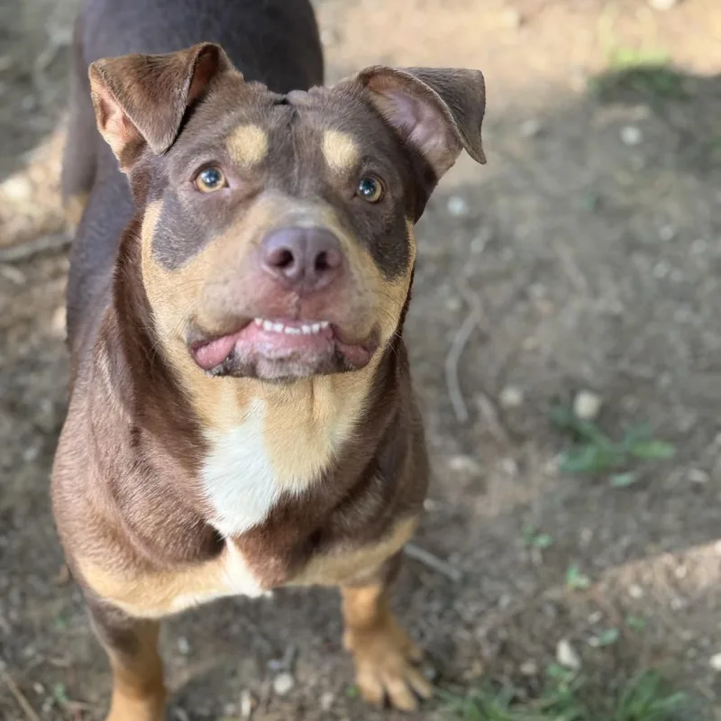 Roxy