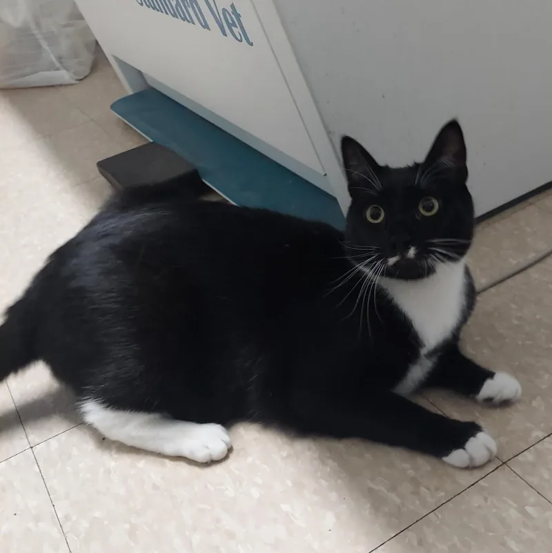 Habanero thumbnail 2