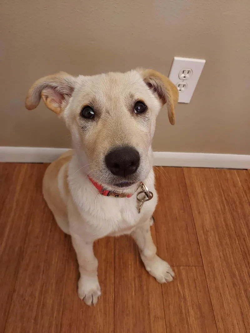 Zoey