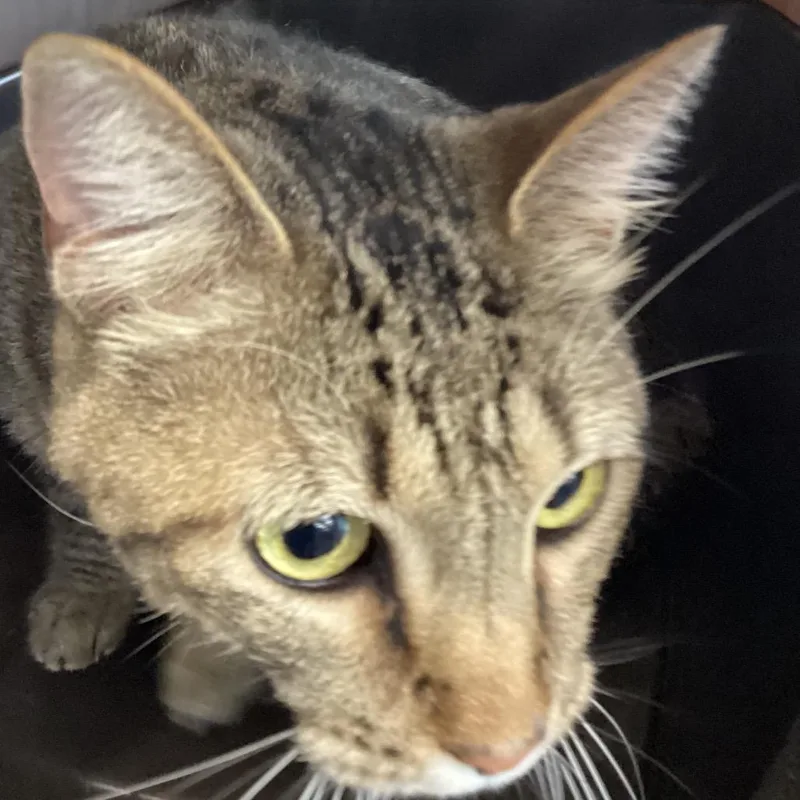 Buddy thumbnail 3