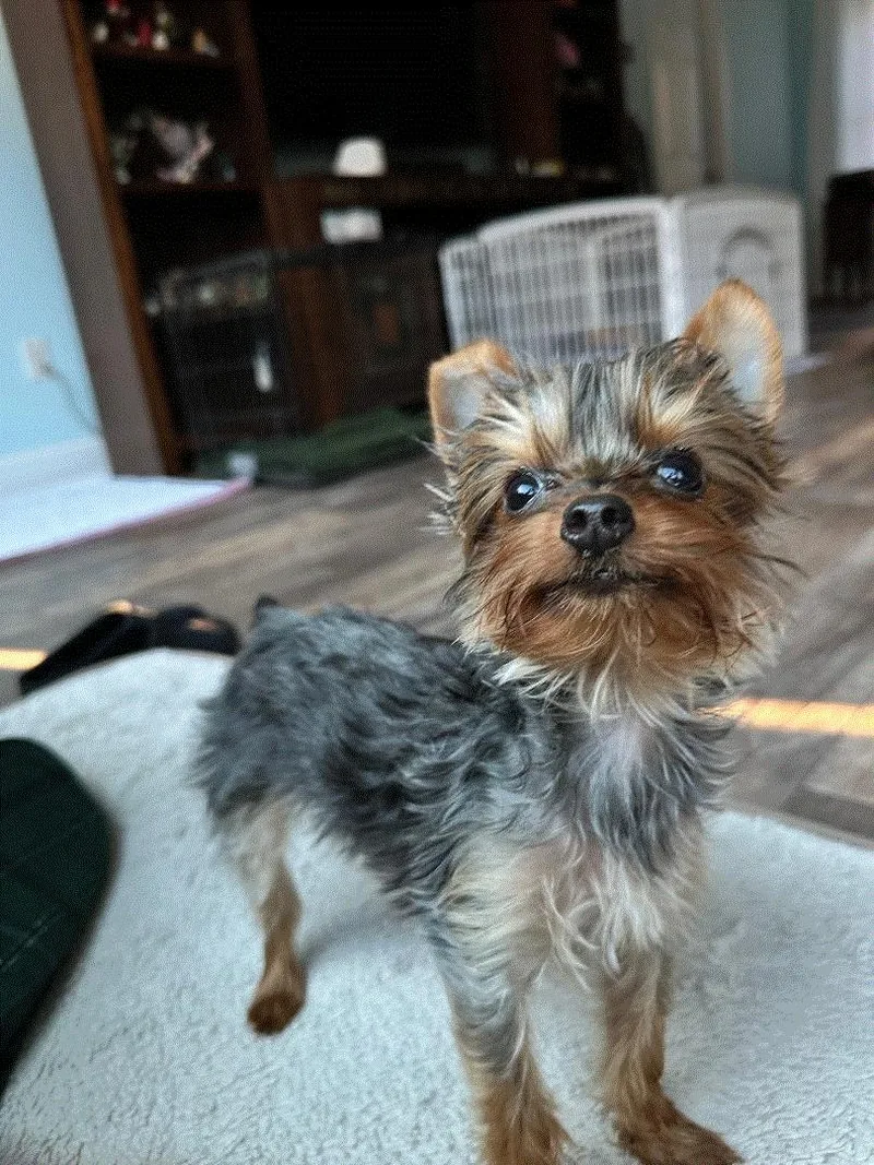 Riley