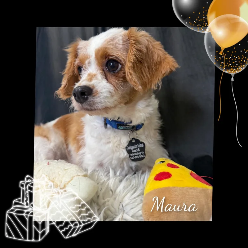 Maura thumbnail 4