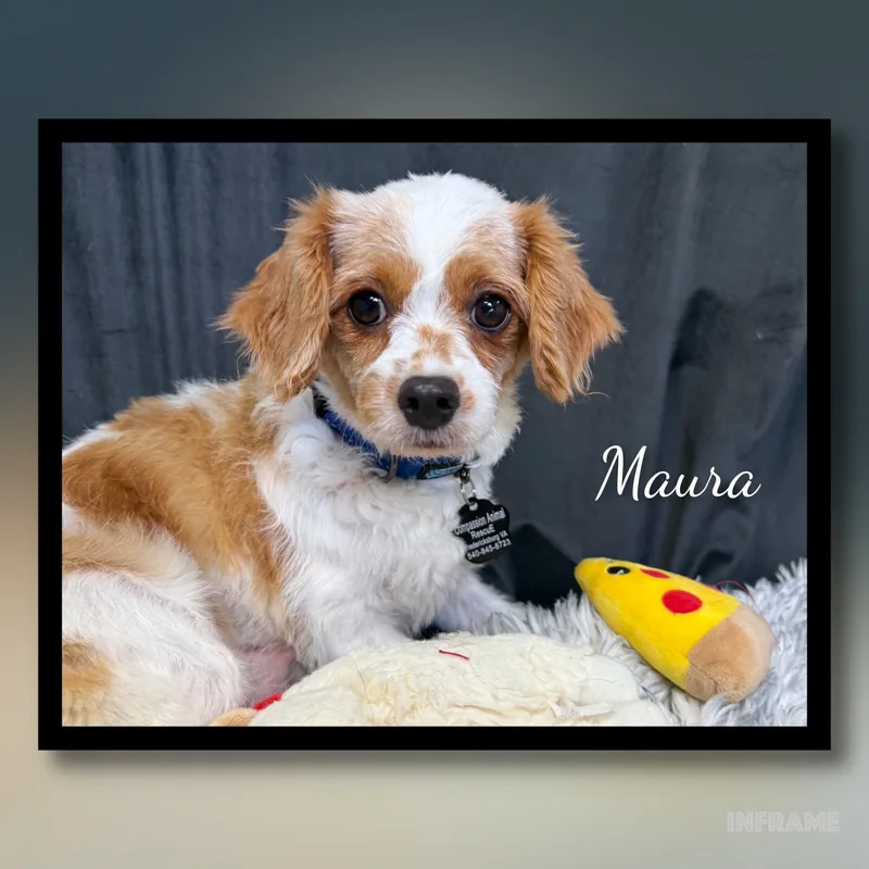 Maura thumbnail 6