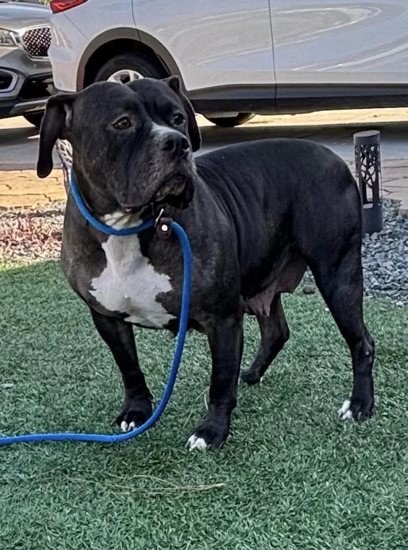 Tallulah thumbnail 2