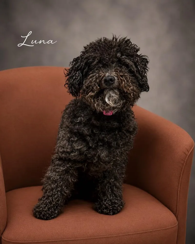 Luna