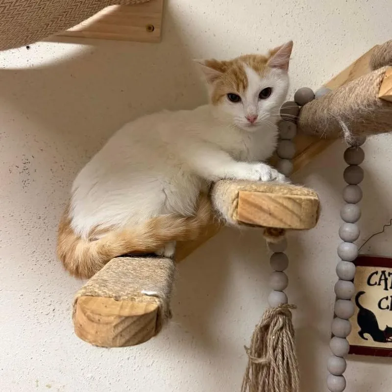 John Milton thumbnail 2