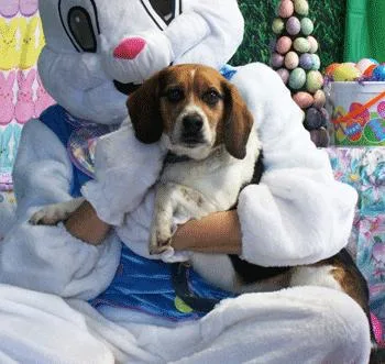 Jim & Mandy thumbnail 2