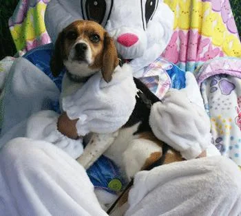 Jim & Mandy thumbnail 4