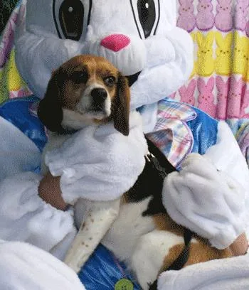 Jim & Mandy thumbnail 5