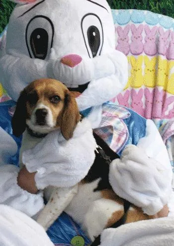 Jim & Mandy thumbnail 6