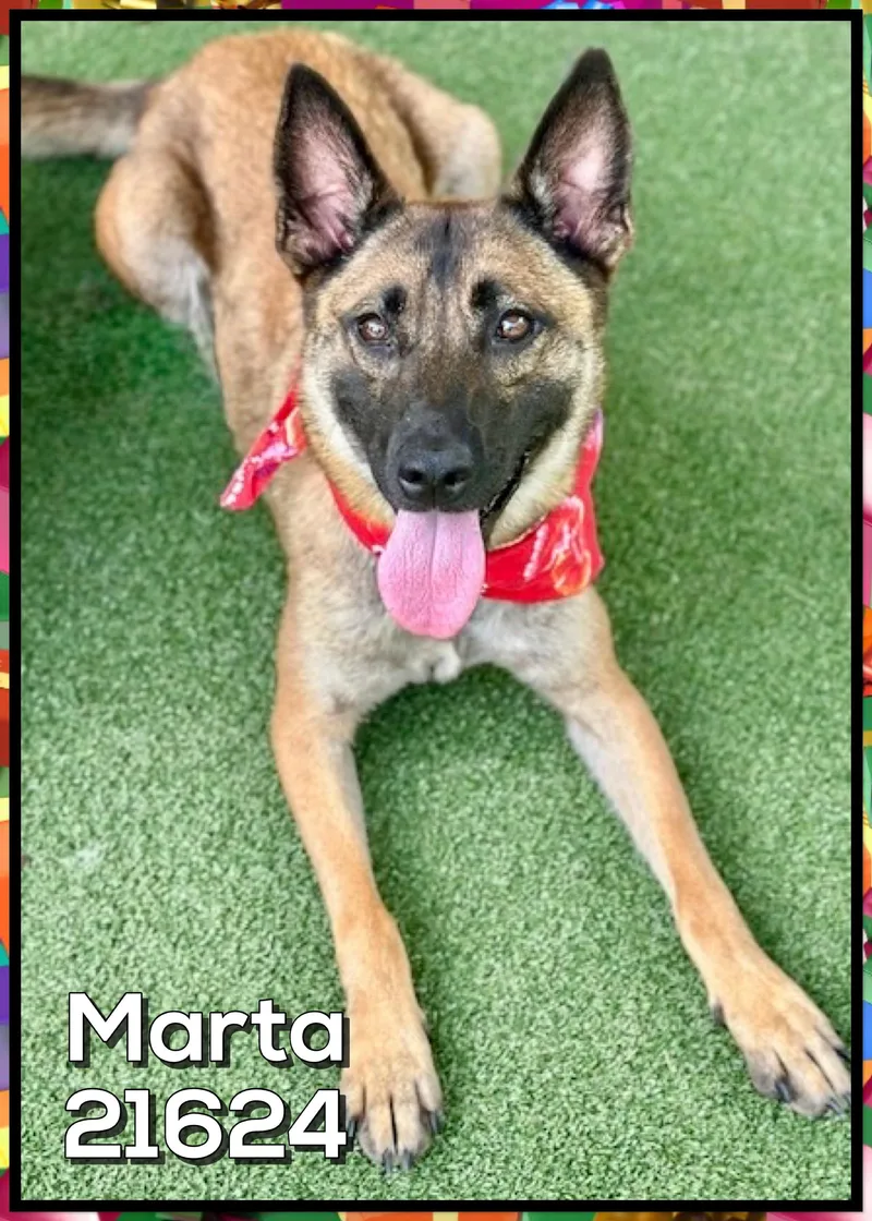 Marta