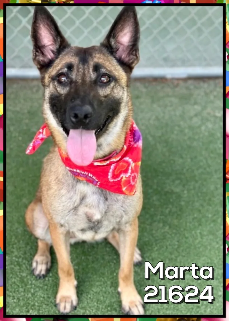 Marta thumbnail 4