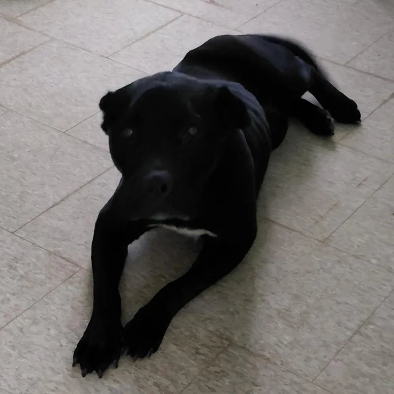 Cornelius
