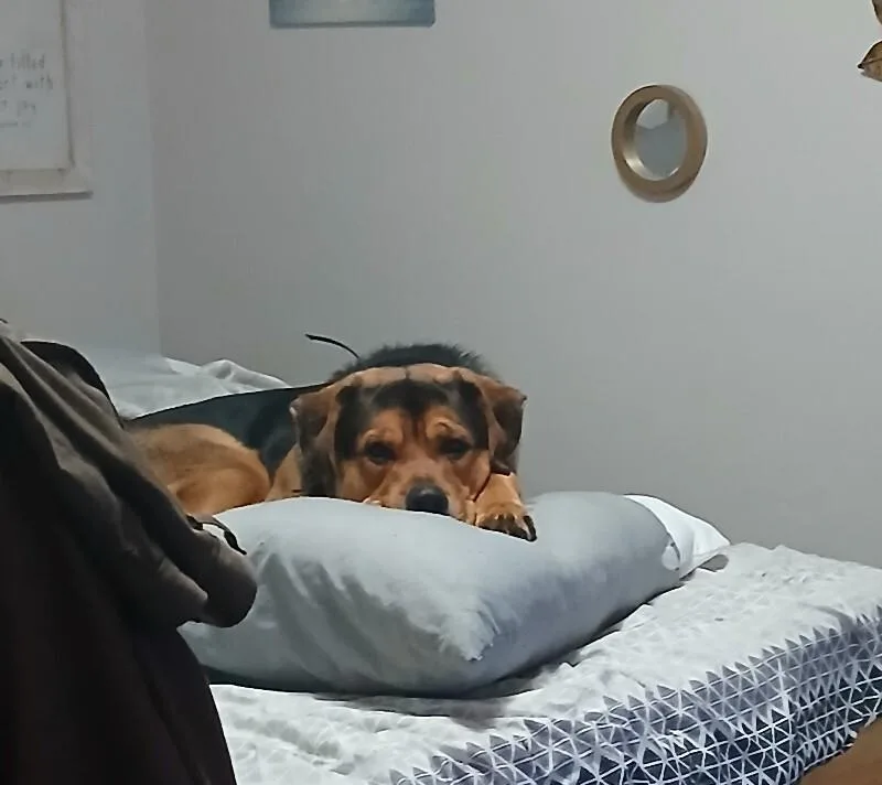 Hercules thumbnail 2