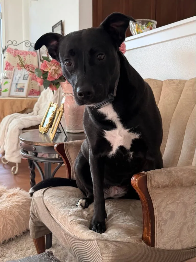 Lucy