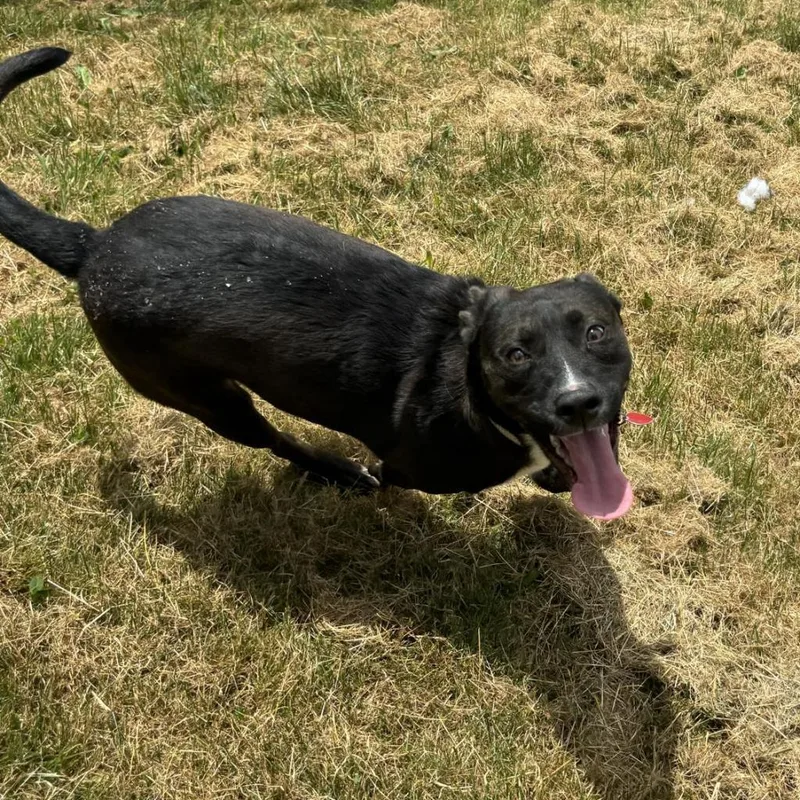 Little Bit thumbnail 2