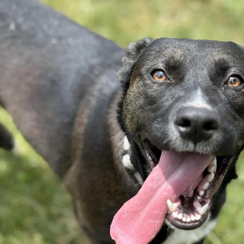 Little Bit thumbnail 3