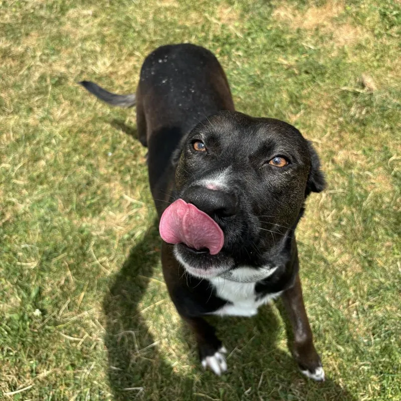 Little Bit thumbnail 4