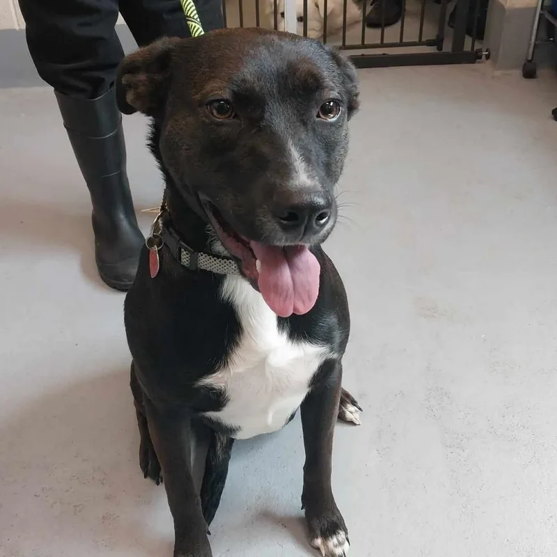 Little Bit thumbnail 5