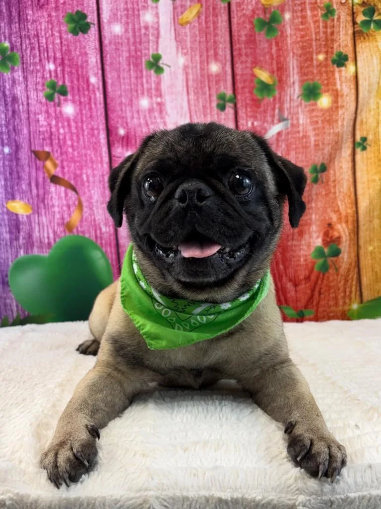 Hercules thumbnail 2