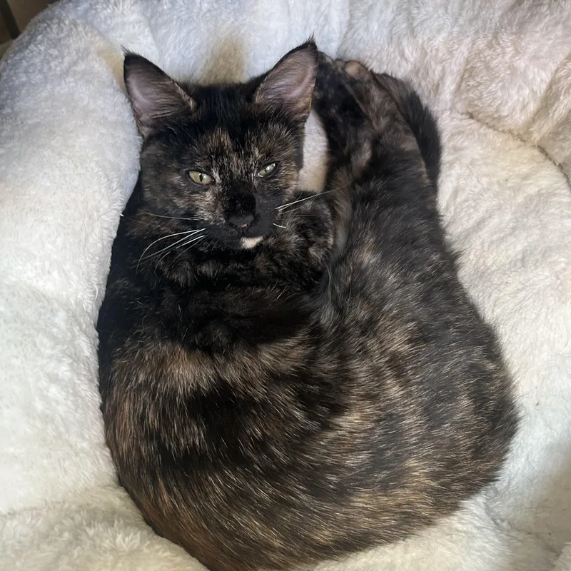 Jazz Friel thumbnail 2