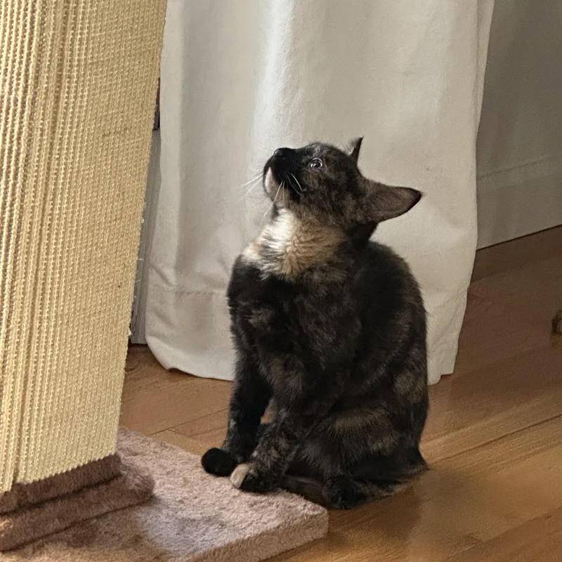 Jazz Friel thumbnail 4