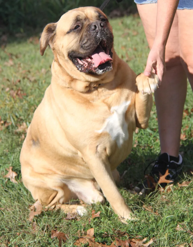 Hazard & Moose thumbnail 5