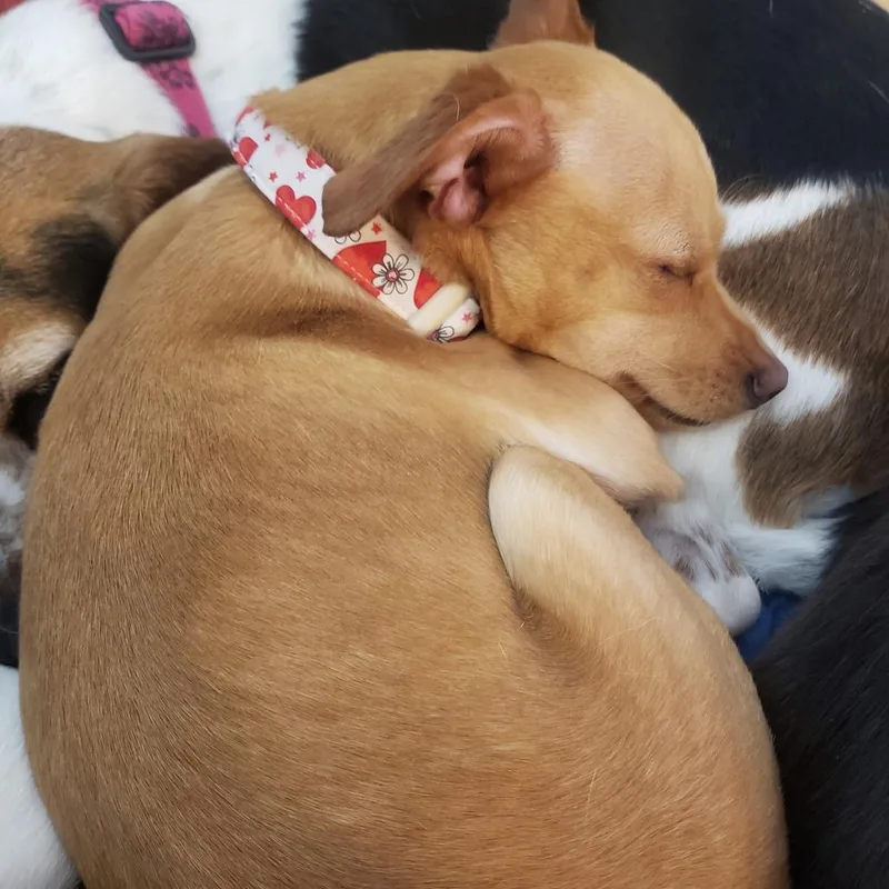 Ellie