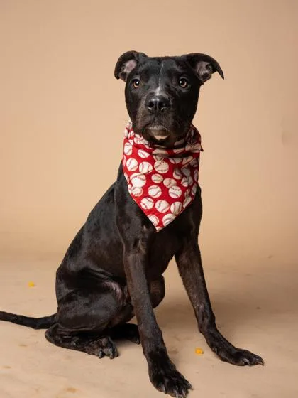 Lil Butter Snap thumbnail 3