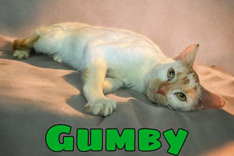 Gumby thumbnail 2