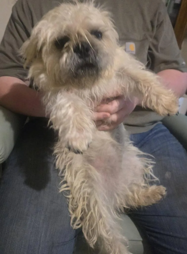 Rainy Moon $ thumbnail 3