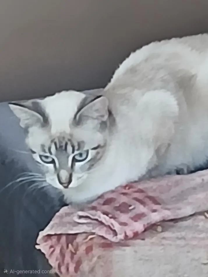 Pepper