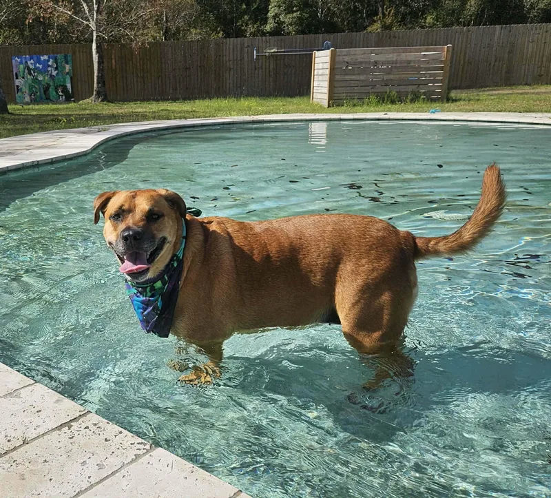 Delilah "lila"