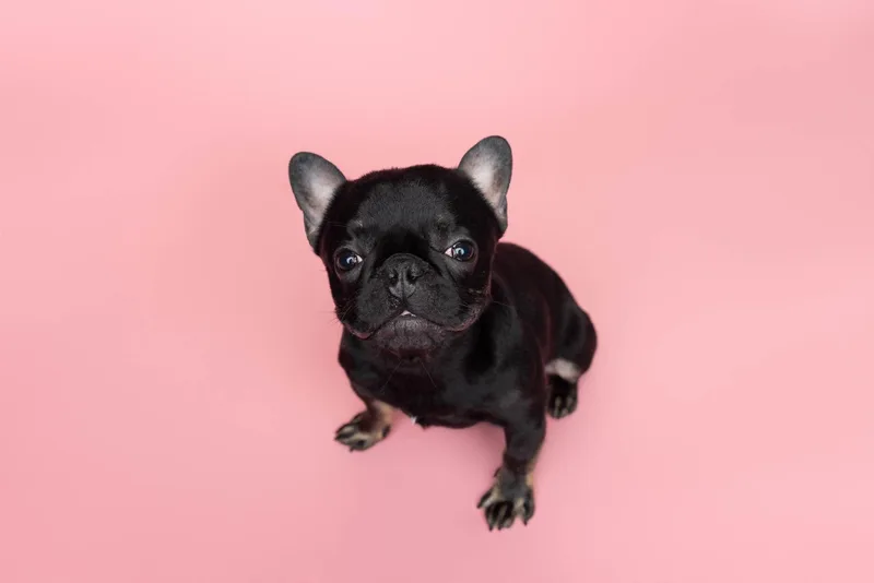 Penelope aka Miss P thumbnail 3