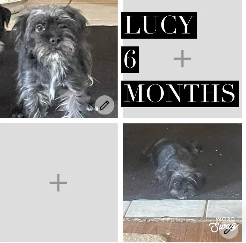 Lucy