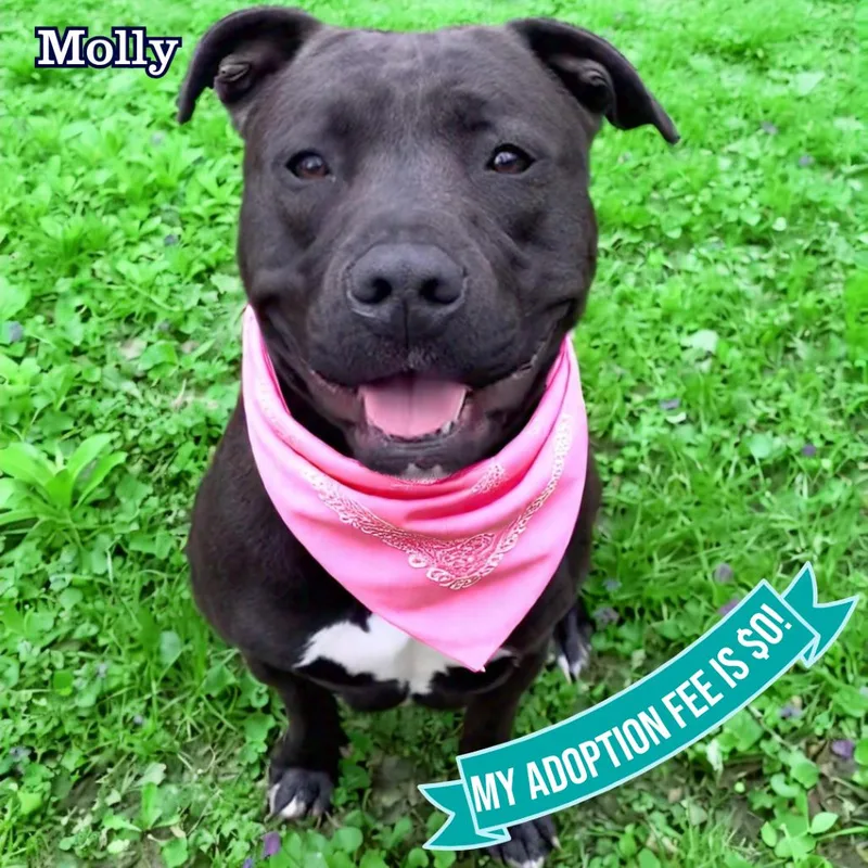 Molly