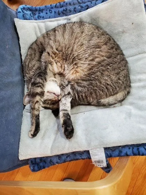 Monasn Med thumbnail 3