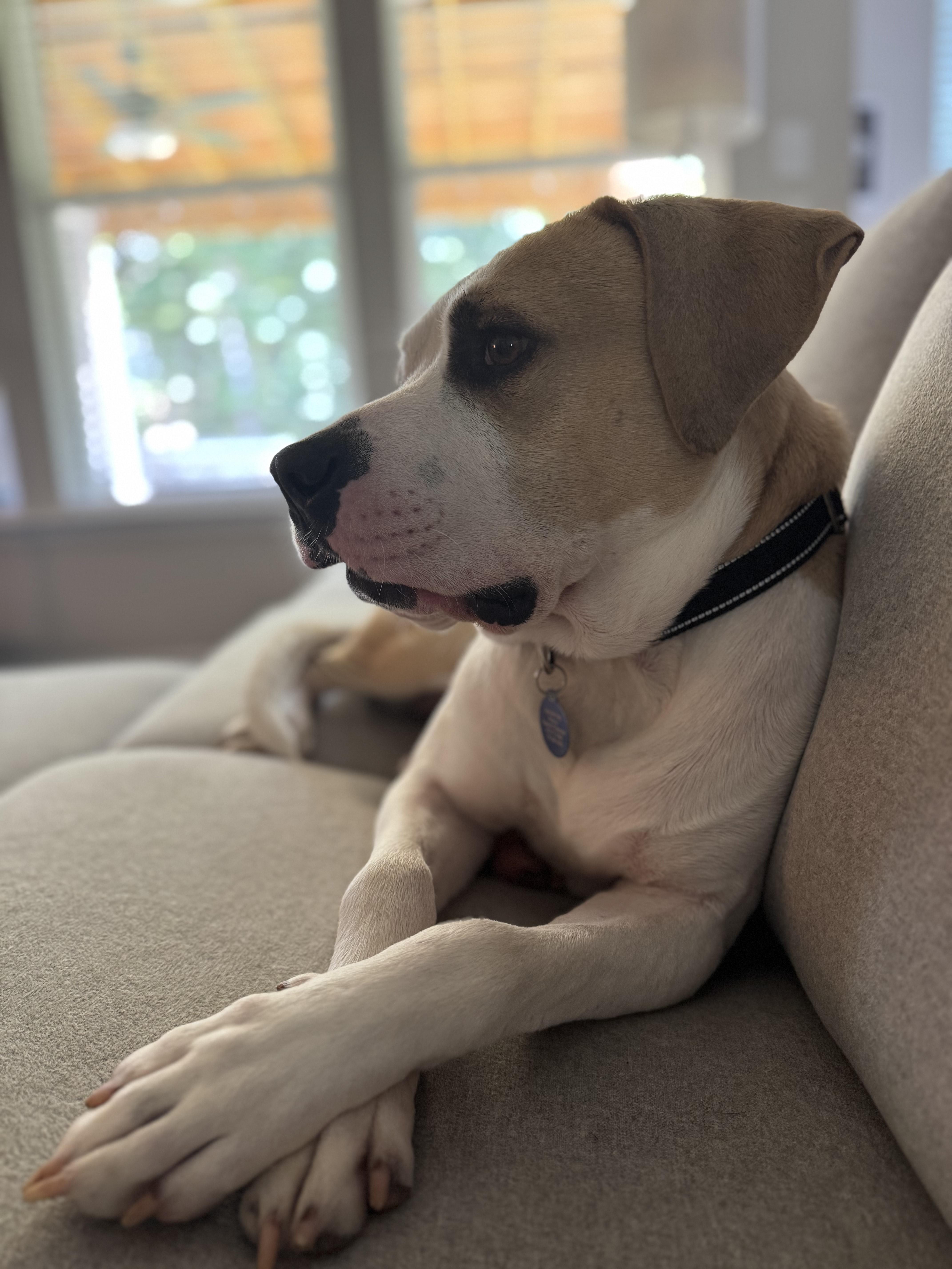 Maxim Walton thumbnail 2