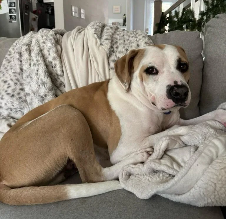 Maxim Walton thumbnail 3