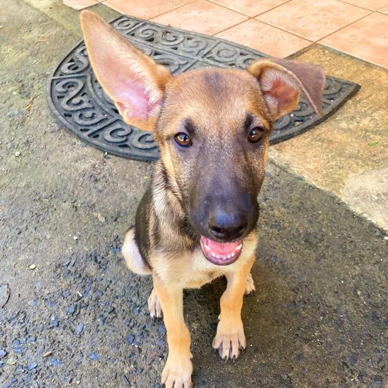 Greta "all For You."