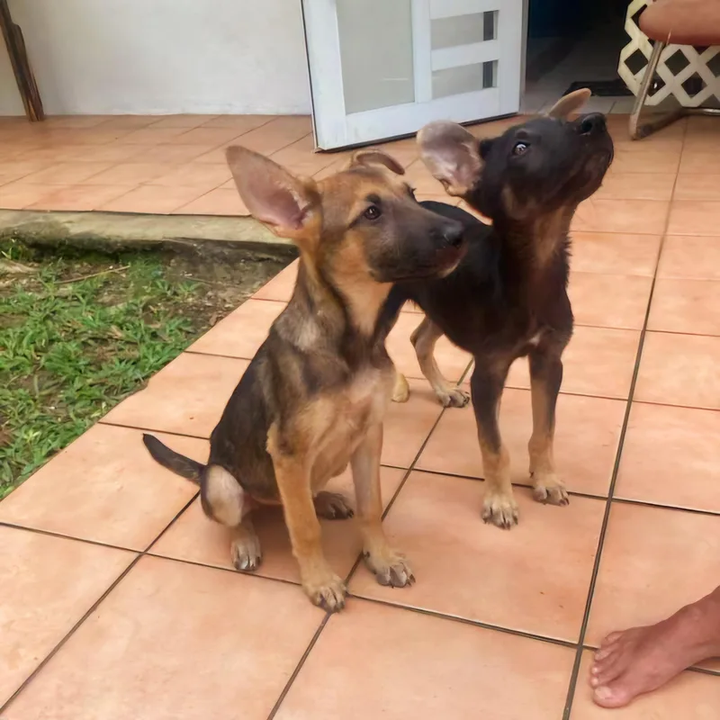 Greta "all For You." thumbnail 2