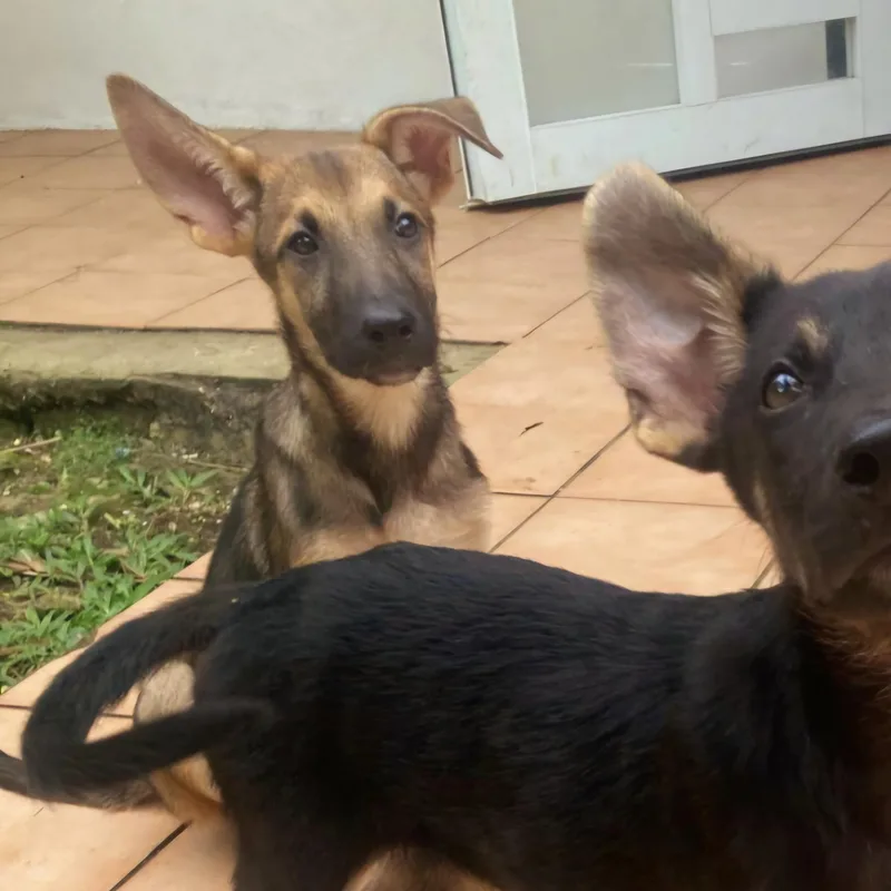 Greta "all For You." thumbnail 3