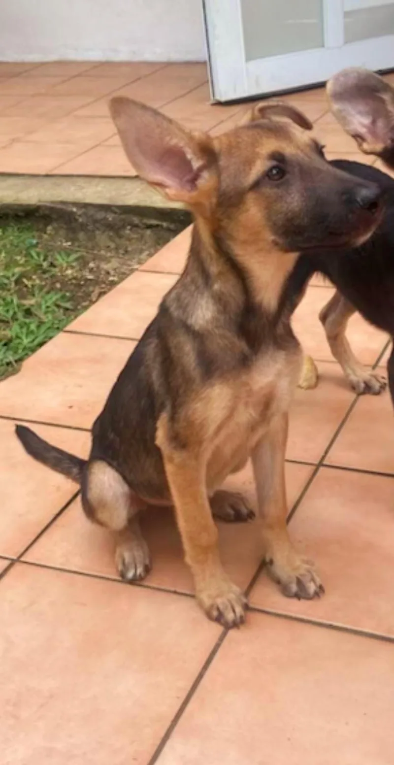 Greta "all For You." thumbnail 4