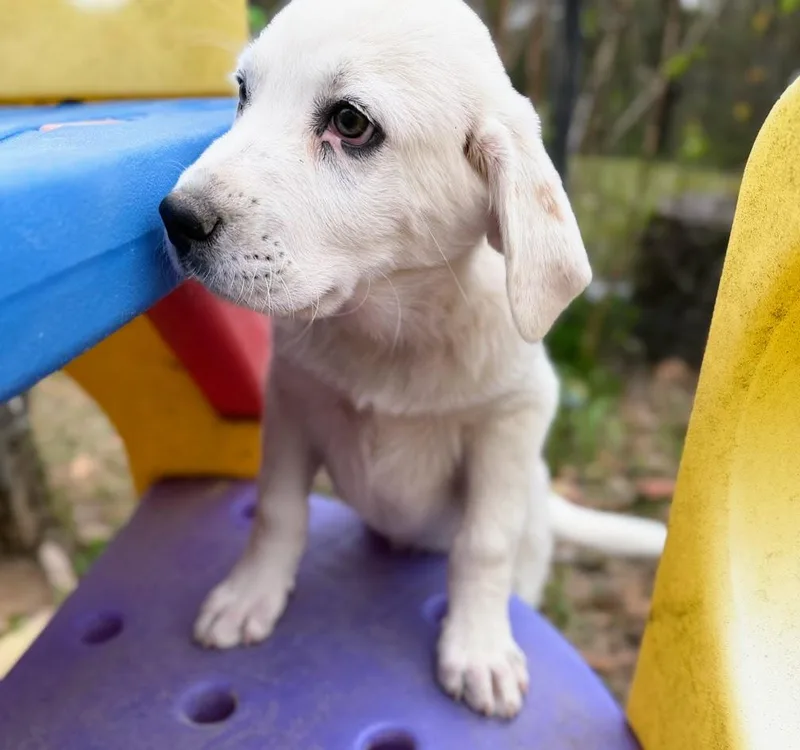 Jean Louise thumbnail 5