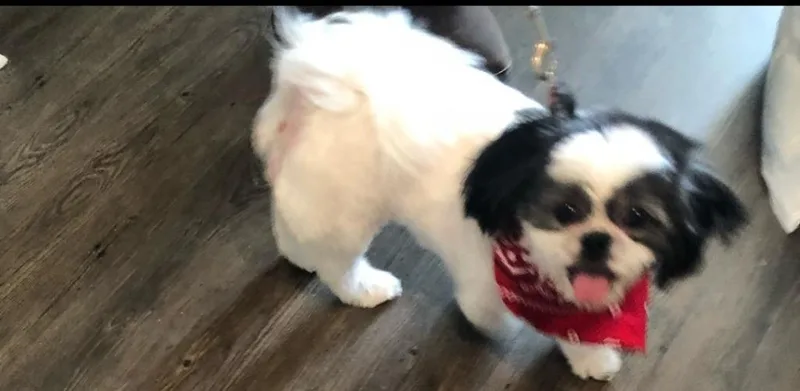Zoey