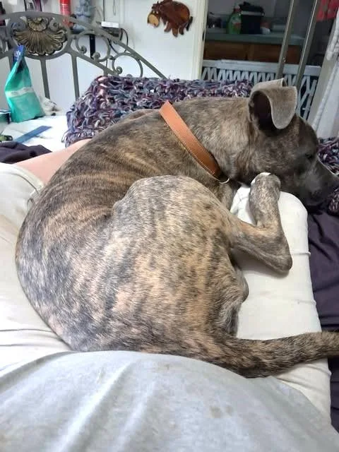 Titus thumbnail 2